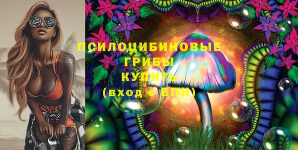 ешки Абаза
