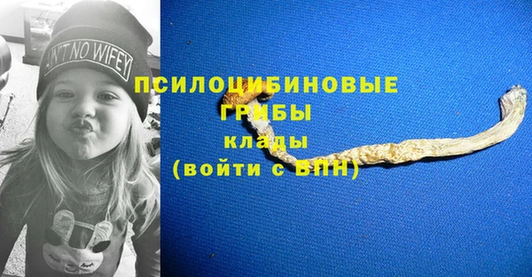а пвп мука Абдулино