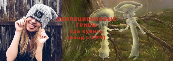 ешки Абаза